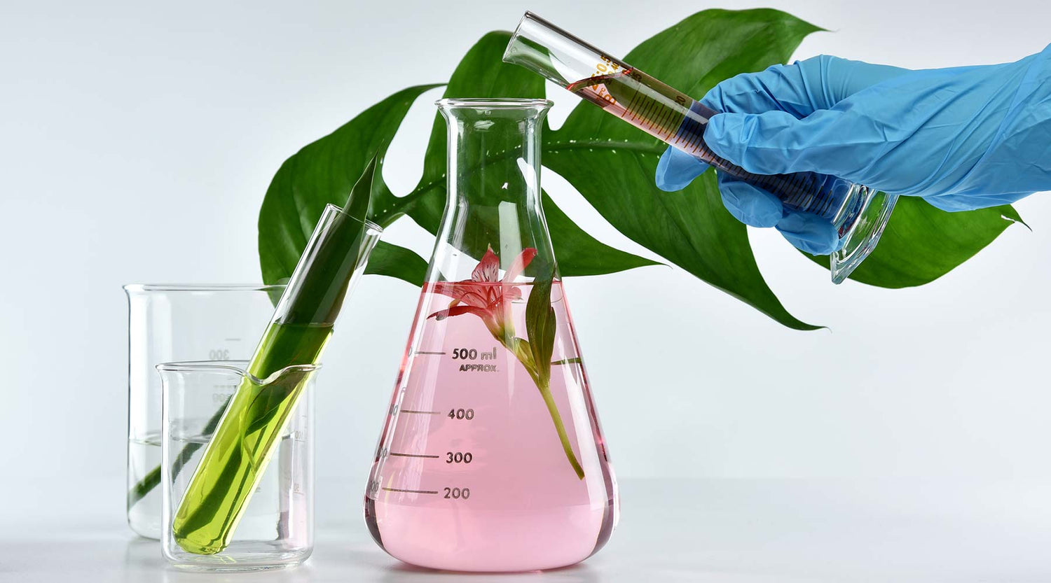 Peptides & Ceramides: Are Yours Working or Wasting Away? The Cold Secret to Real Results