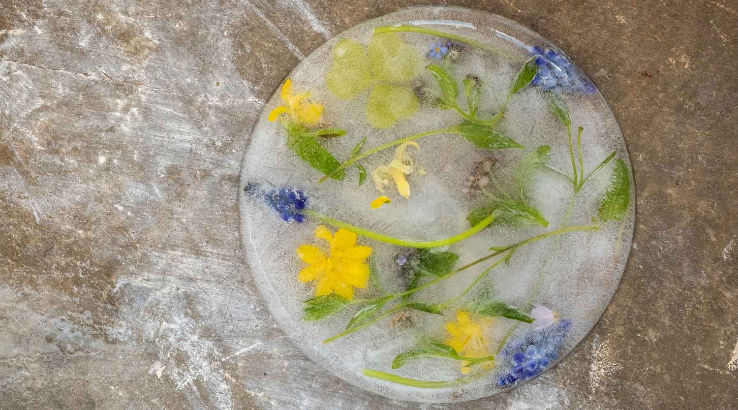 5 Skincare Stability Myths Costing You Results (And the Cold Truth)