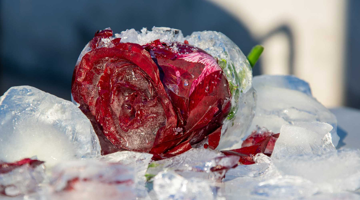 More Than Just Clean: Choosing Skincare That Cares for Your Skin & the Planet