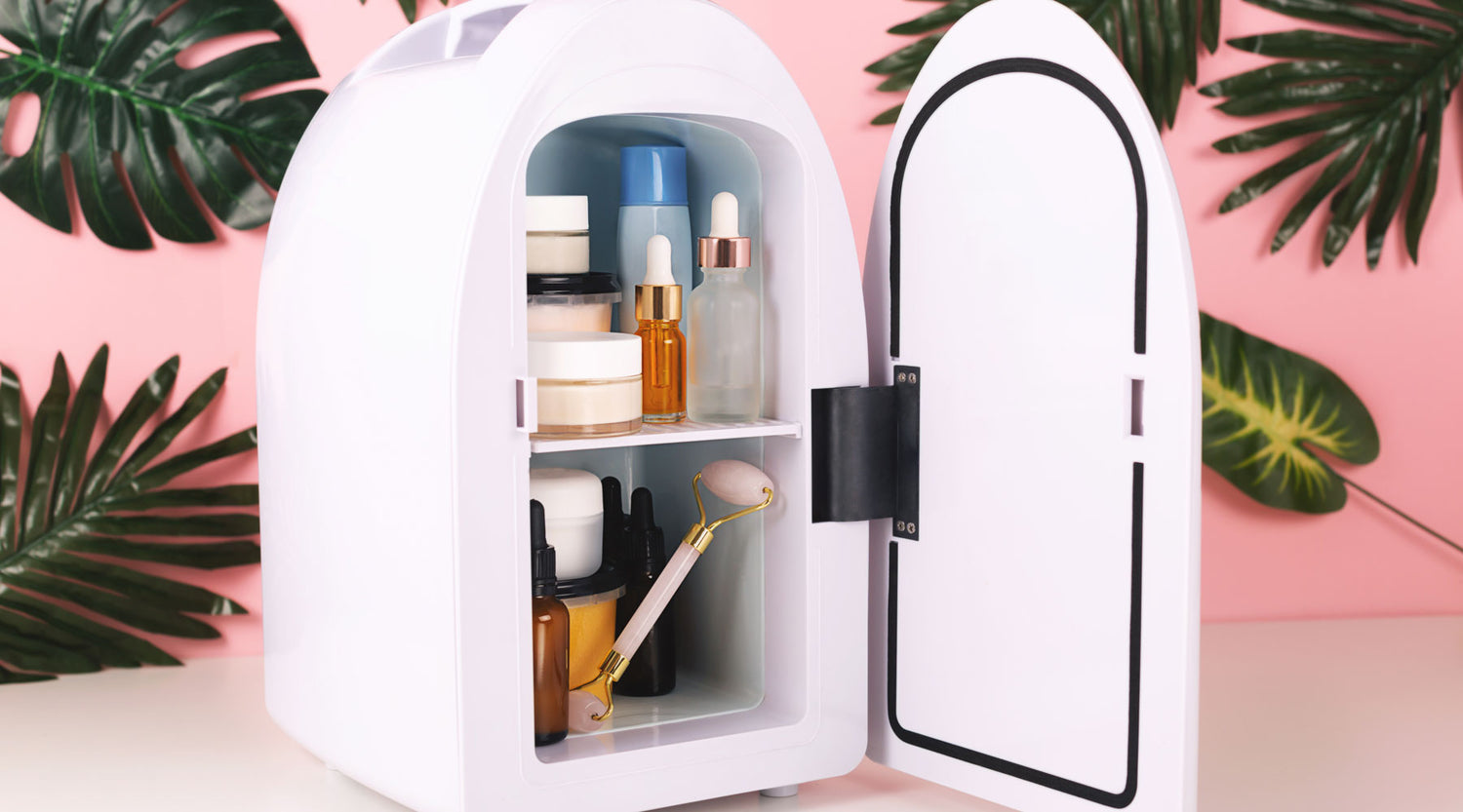 Wild Ice Blog Skin Care Mini Fridge Don't Buy a Skincare Fridge! Here's Why