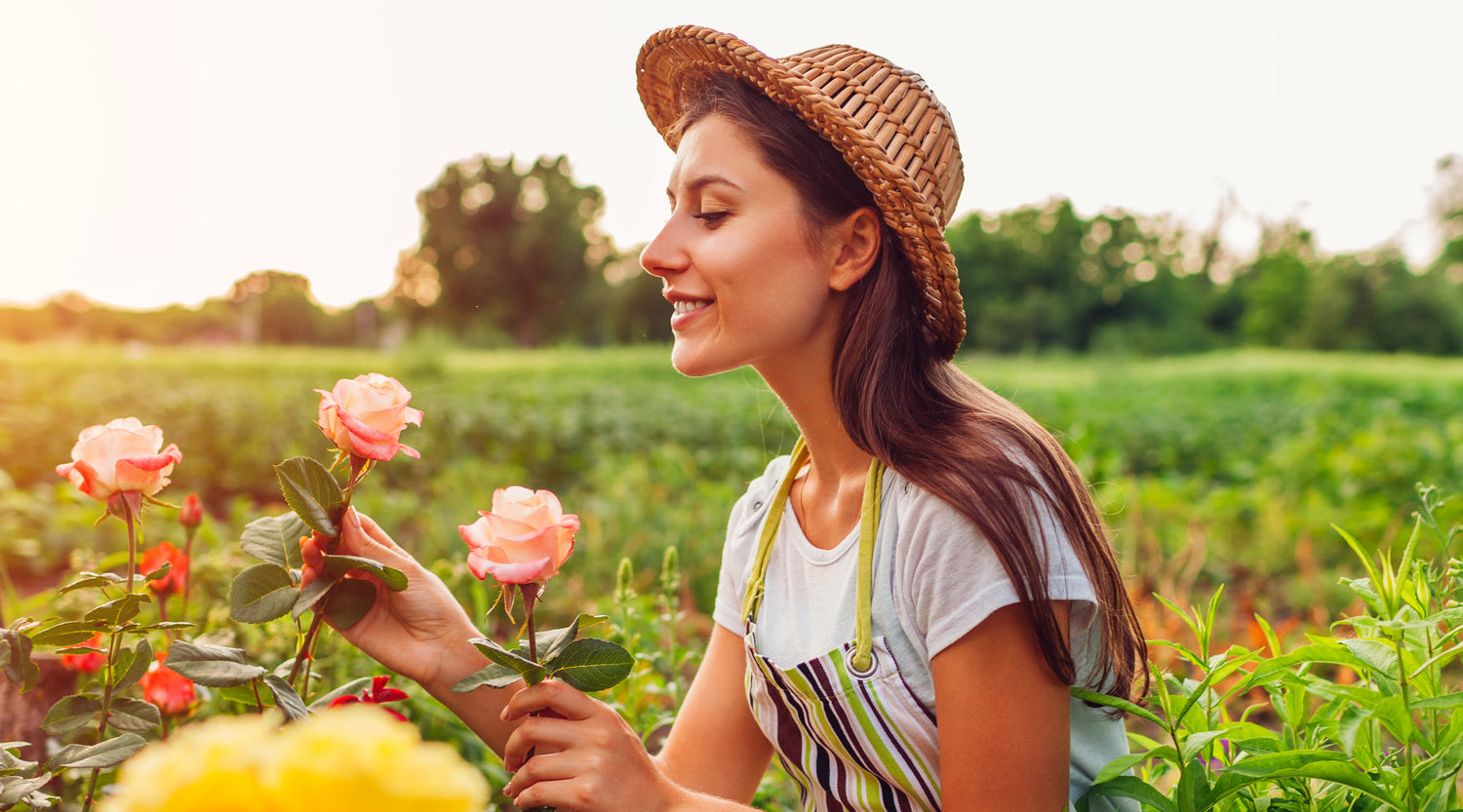 Redness, Irritation, and Breakouts? Your Skin Might Just Be Thirsty for This Ancient Flower
