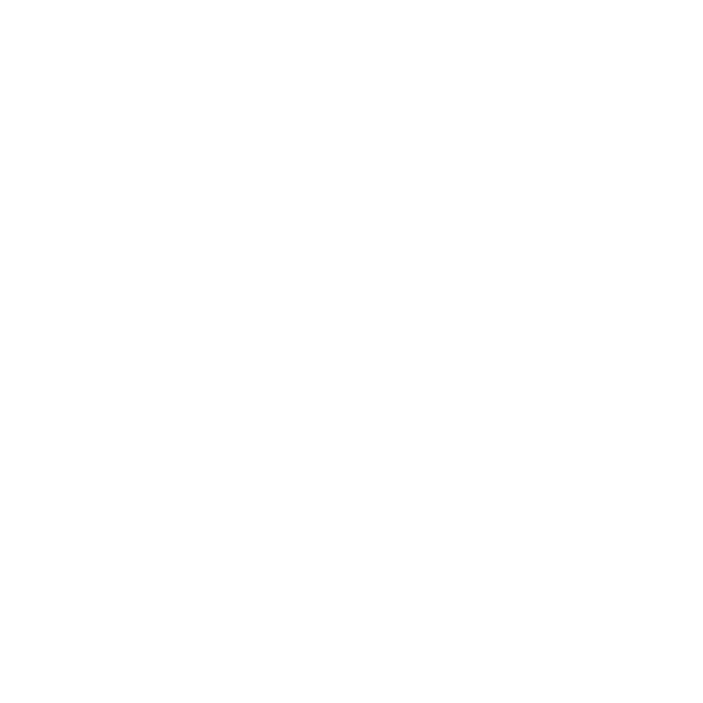 Stylized airplane icon.