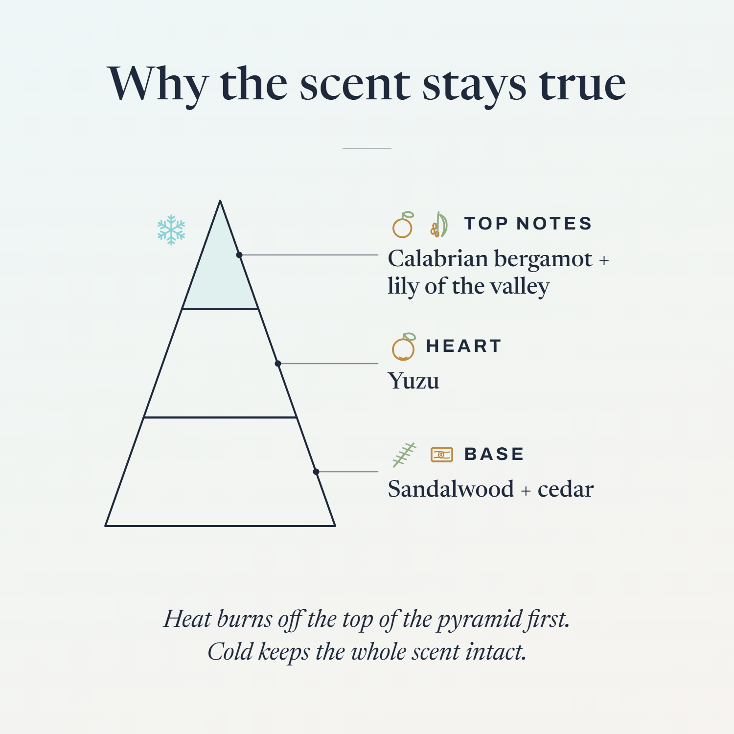 Scent pyramid for Memoir: top notes Calabrian bergamot and lily of the valley, heart of yuzu, base of sandalwood and cedar