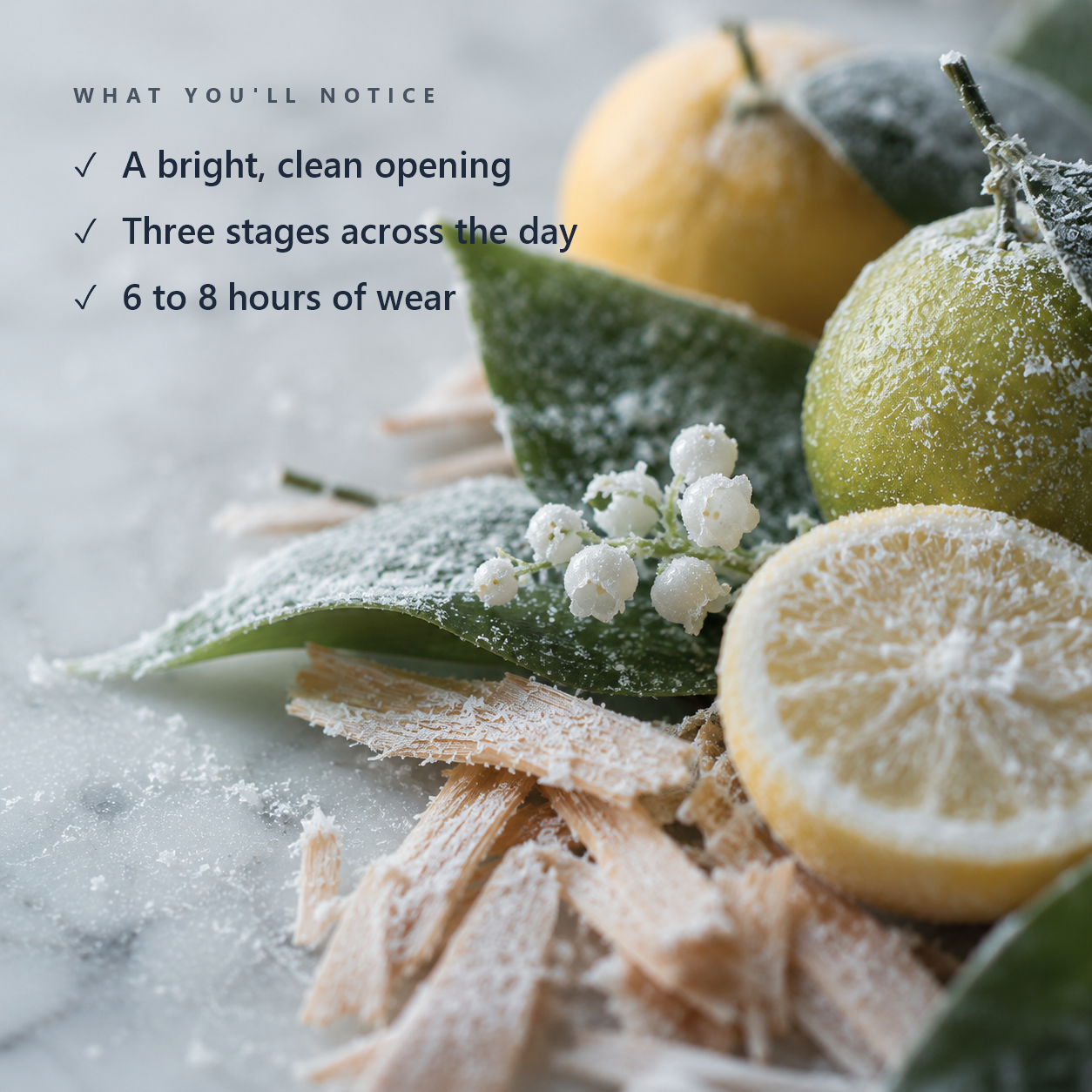 Card listing what to expect from Memoir: a bright opening, three stages through the day, and 6 to 8 hours of wear