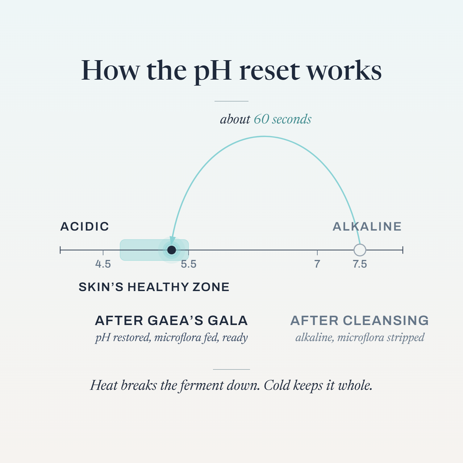 Diagram of Gaea's Gala resetting skin pH from alkaline back to its healthy acidic zone in about 60 seconds.