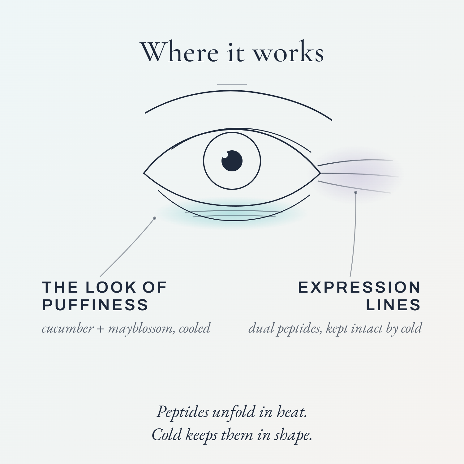 Diagram of the eye showing where Eyecicle works: puffiness under the eye, expression lines at the outer corner