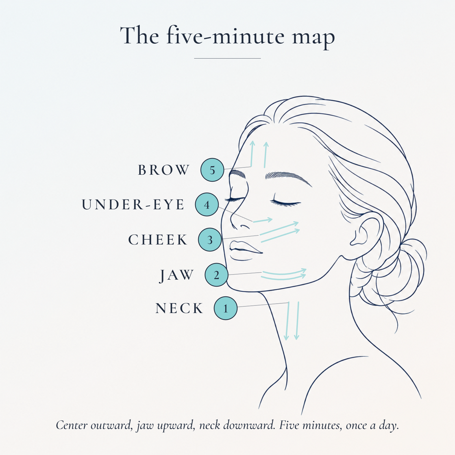 Stroke-direction map for Mammoth's Tooth gua sha: neck, jaw, cheek, under-eye, and brow strokes moving center outward