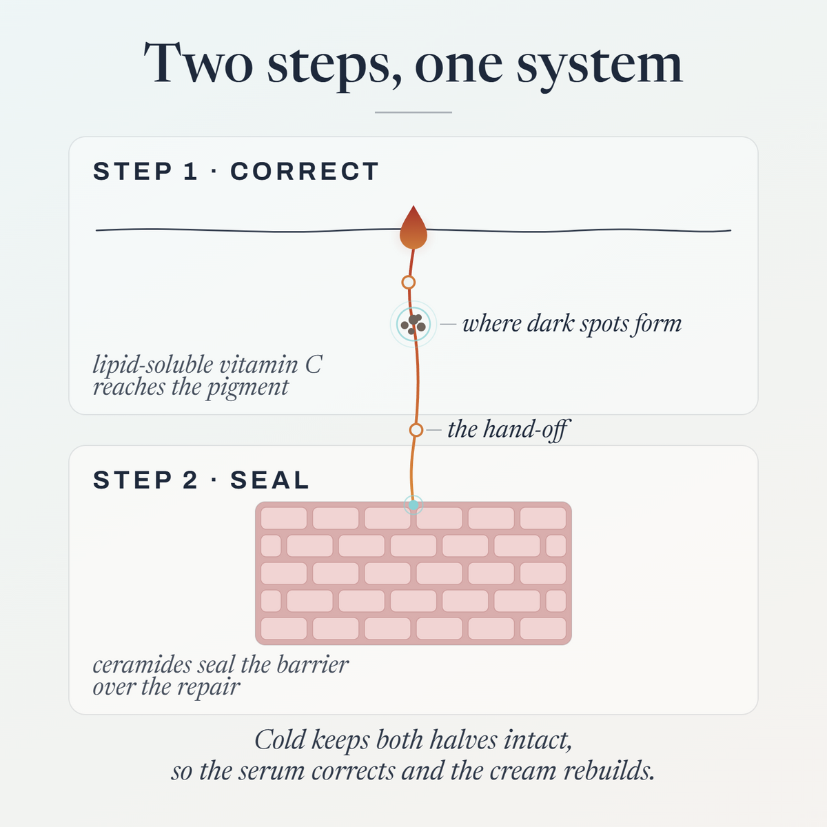 The Glow Duo two-step diagram: Cryo-C serum corrects, D.B.T. Baba Yaga cream seals the barrier