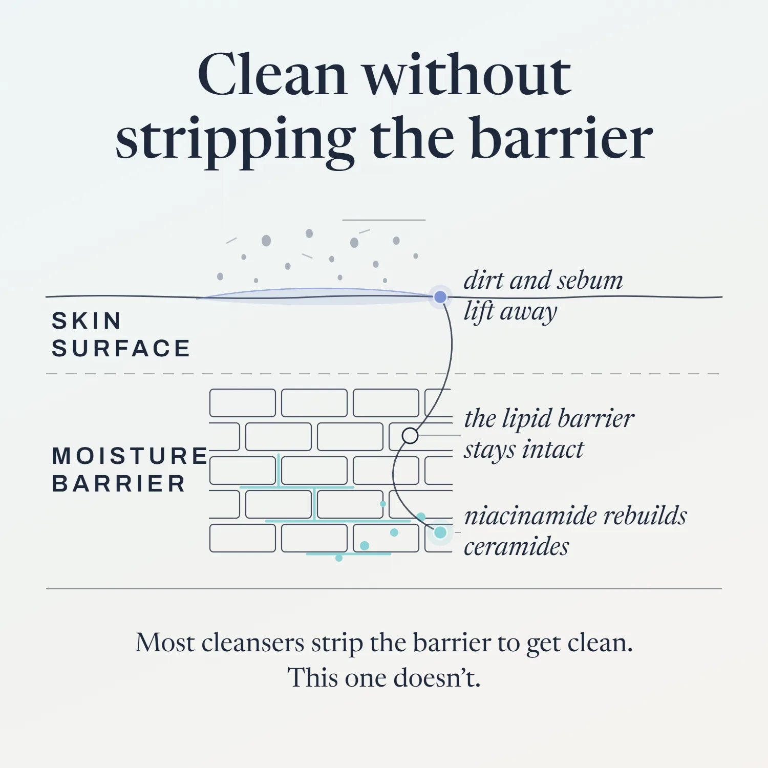 Diagram showing how B-Meltee cleans without stripping the skin's moisture barrier; niacinamide rebuilds ceramides