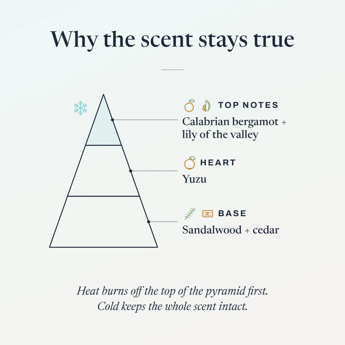 Graphic of Mini Memoir's scent notes: top bergamot and lily of the valley, heart yuzu, base sandalwood and cedar