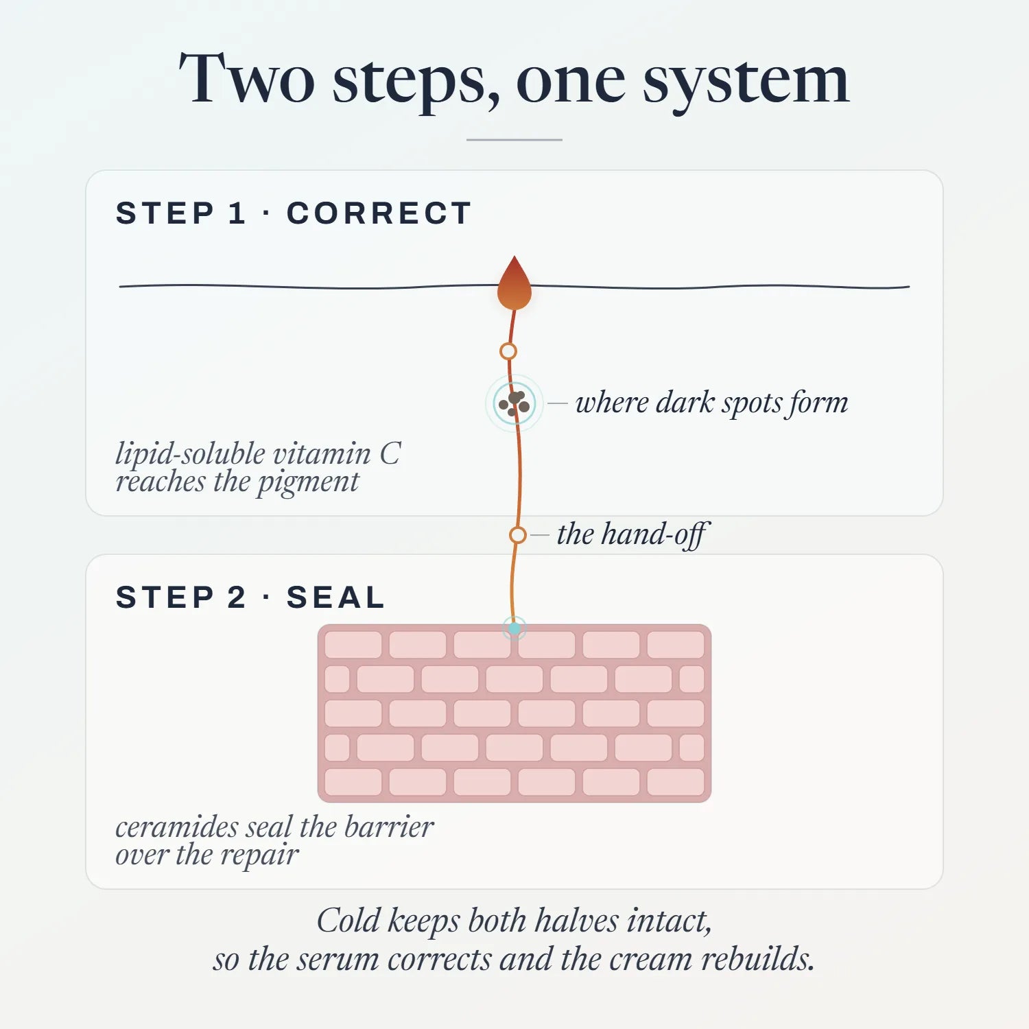 card system designed