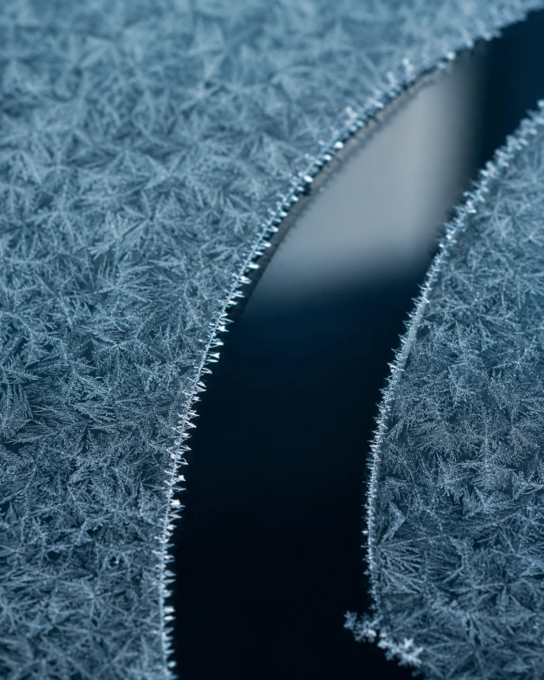 The surface, renewed